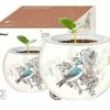 FLOWERPOT BIRDS & FLOWERS -GAMES WORLD Sales 202166006 1200x1200 a1d56ee1 ae84 4a17 b8b6 c249d5a8f15c