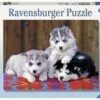Ravensburger Mignons Huskies Puzzle 200pc -GAMES WORLD Sales 4005556128235