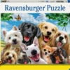Ravensburger Delighted Dogs Puzzle 300pc 1 Ravensburger Delighted Dogs Puzzle 300pc -GAMES WORLD Sales DelightedDogsPuzzle300pc