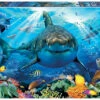 Great White Shark 500Pc Educa 2 Great White Shark 500Pc Educa -GAMES WORLD Sales GreatWhiteShark500PcEduca