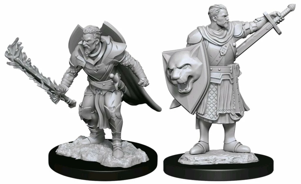 Human Male Champion - Pathfinder Deep Cuts Unpainted Miniatures 3 Human Male Champion - Pathfinder Deep Cuts Unpainted Miniatures