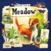 Meadow 1 Meadow -GAMES WORLD Sales Meadow NEW