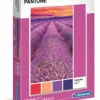 Pantone Lavendar -GAMES WORLD Sales PantoneLavendar