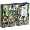 Rescue Dogs - 1000pc Galison 1 Rescue Dogs - 1000pc Galison -GAMES WORLD Sales RescueDogs 1000pcGalison