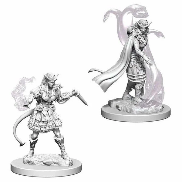 Tiefling Female Sorcerer - D&D Nolzurs Marvelous Unpainted Minis AUG 2020 3 Tiefling Female Sorcerer - D&D Nolzurs Marvelous Unpainted Minis AUG 2020