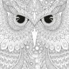 Owl Colouring Puzzle 500pc- MasterPieces -GAMES WORLD Sales apiru35mg 24596.1506902463