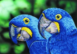 Diamond Dotz BLUE HYACINTH MACAWS - DDOTZ