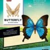 Butterfly- Incredibuilds 3D Wood Model And Booklet