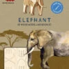 Elephant - Incredibuilds Animal Collection 3d Wood Model -GAMES WORLD Sales elephant incredibuilds animal collection 3d wood model