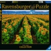 Ravensburger Fields Of Gold Puzzle 1000pc 2 Ravensburger Fields Of Gold Puzzle 1000pc -GAMES WORLD Sales fields of gold puzzle 1000pc