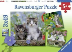 Ravensburger Kittens Puzzle 3x49pc