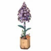 Lilac - Wood Bloom - ROBOTIME
