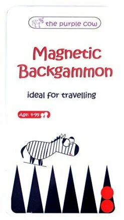 Magnetic Backgammon